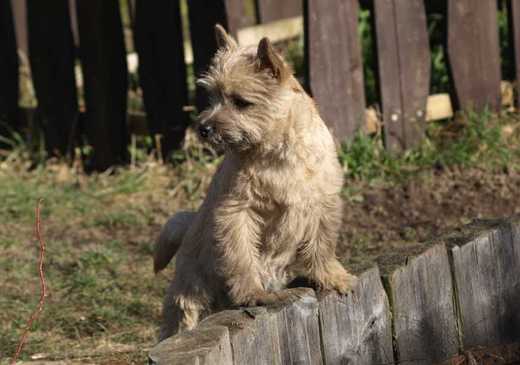 chloehtg_big_img2.jpg